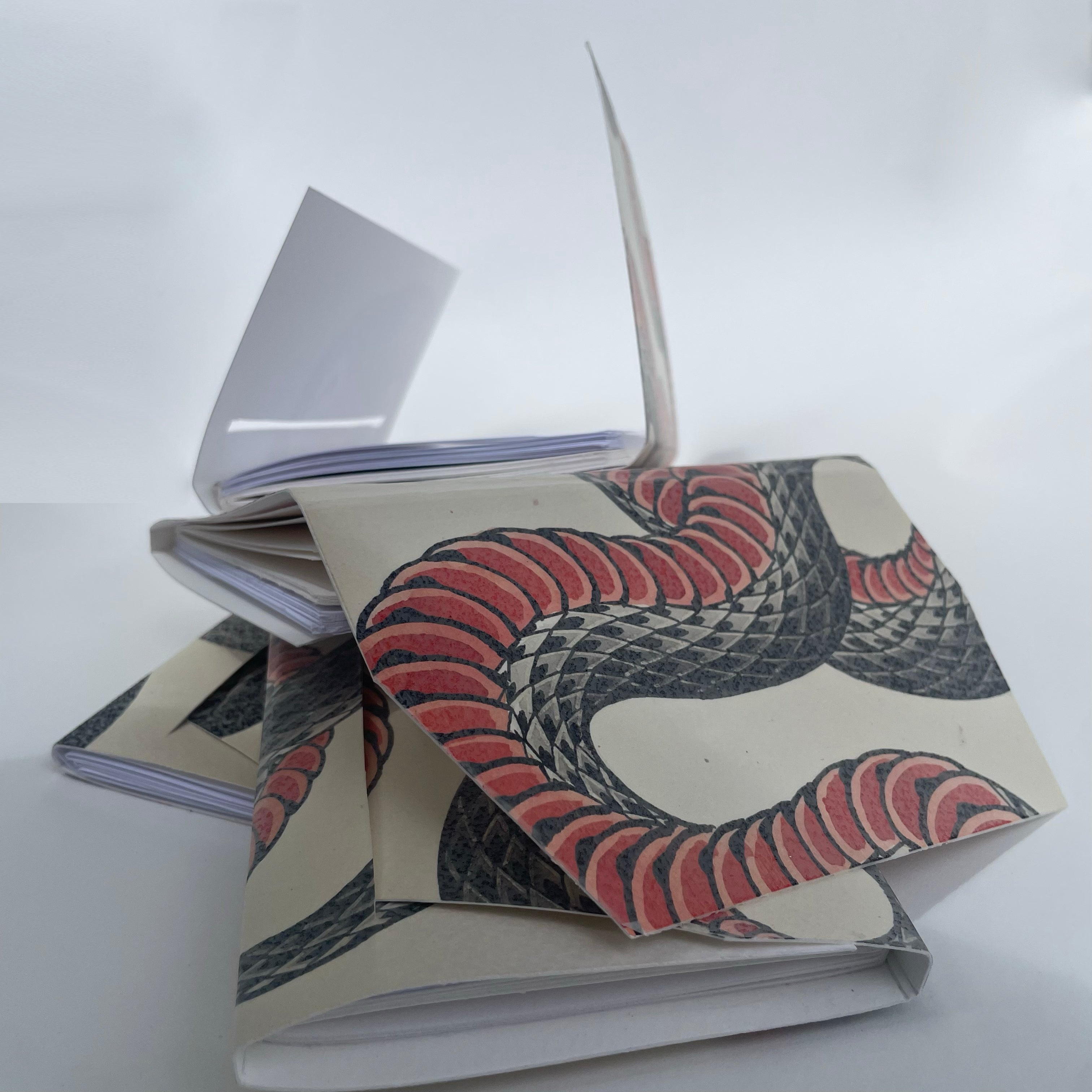 passport sketch handmade booklets