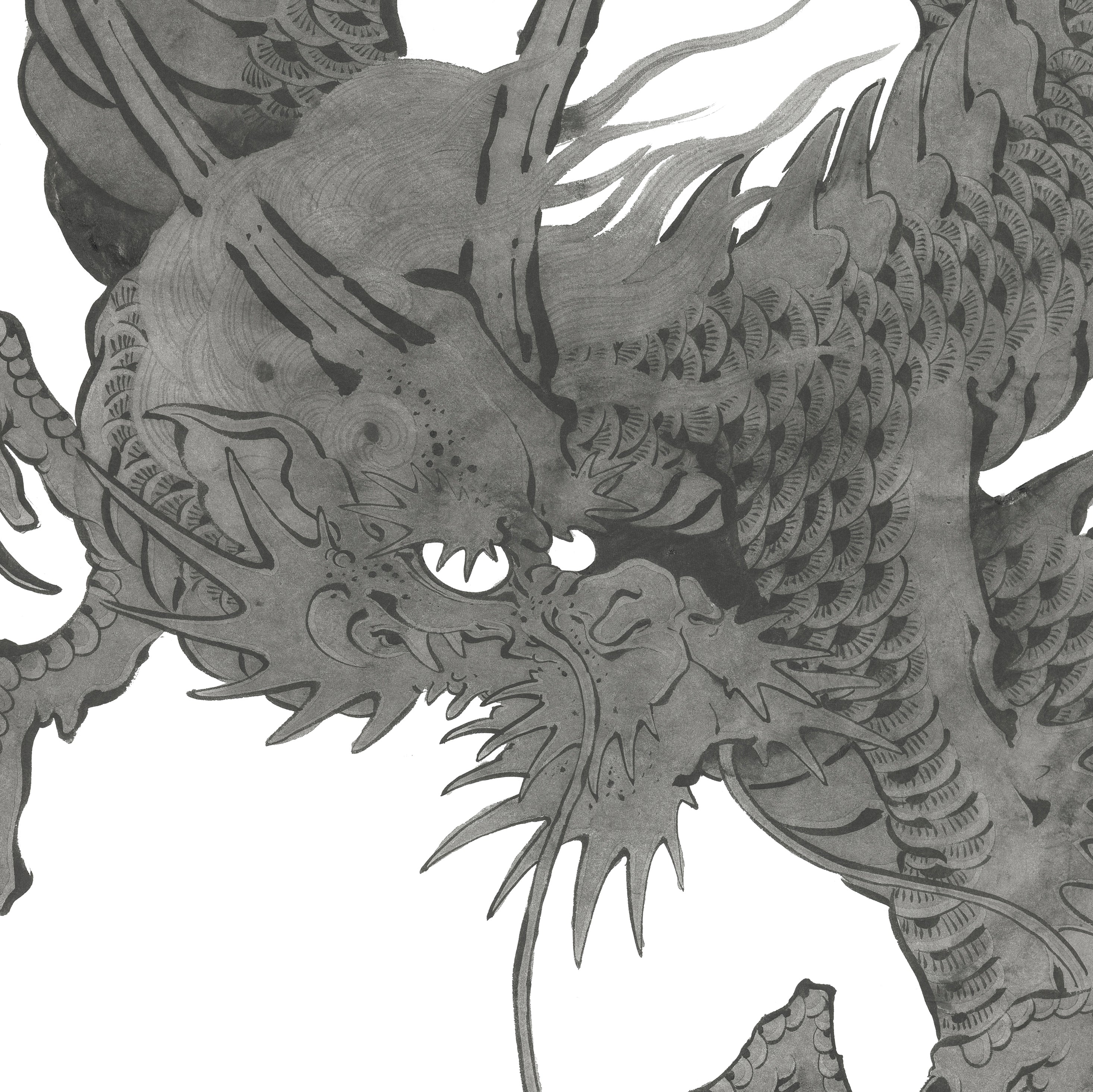 Bill Canales - Grey Dragon 03