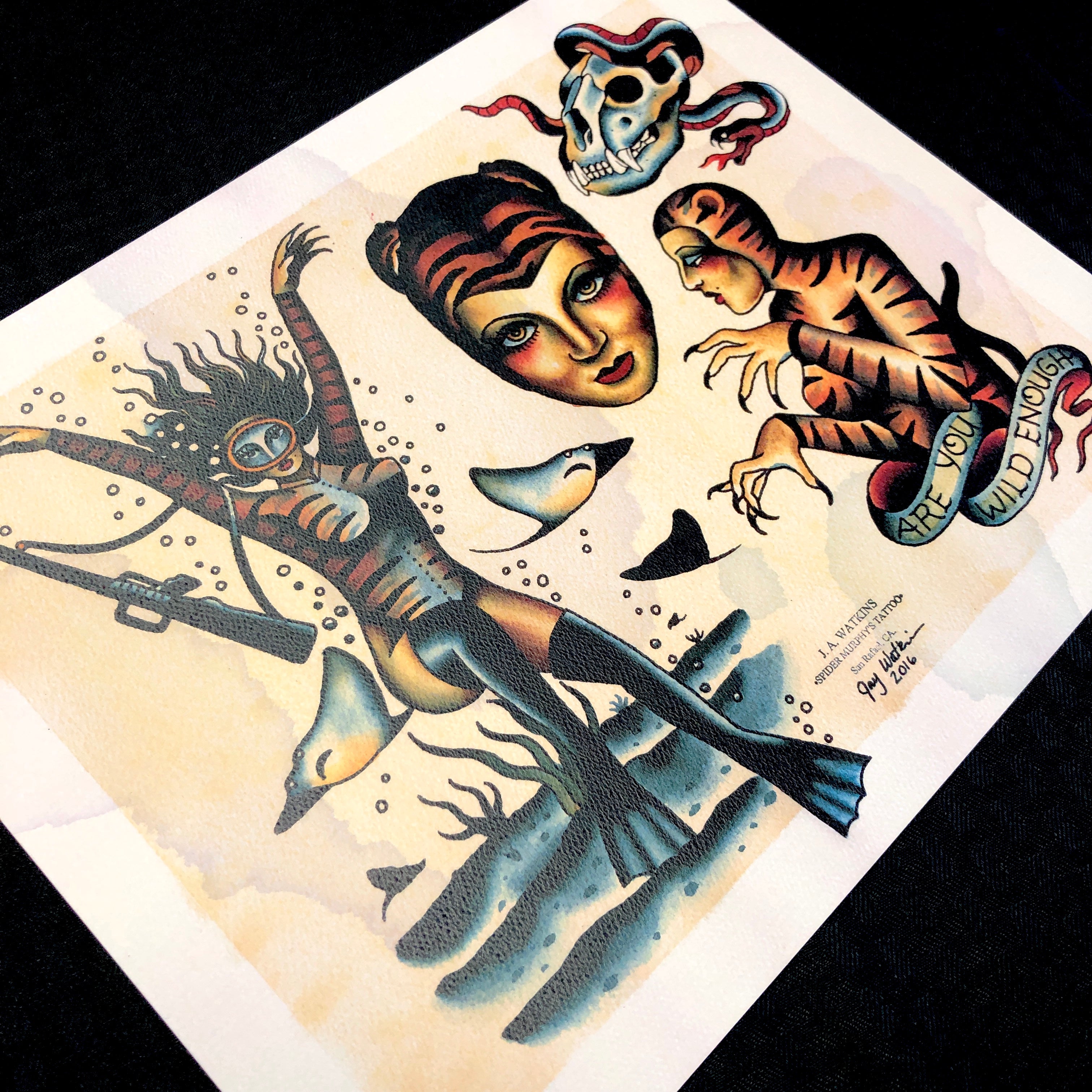 quirky cat illustrations