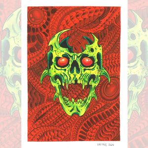 WEB Bio Skull.jpg