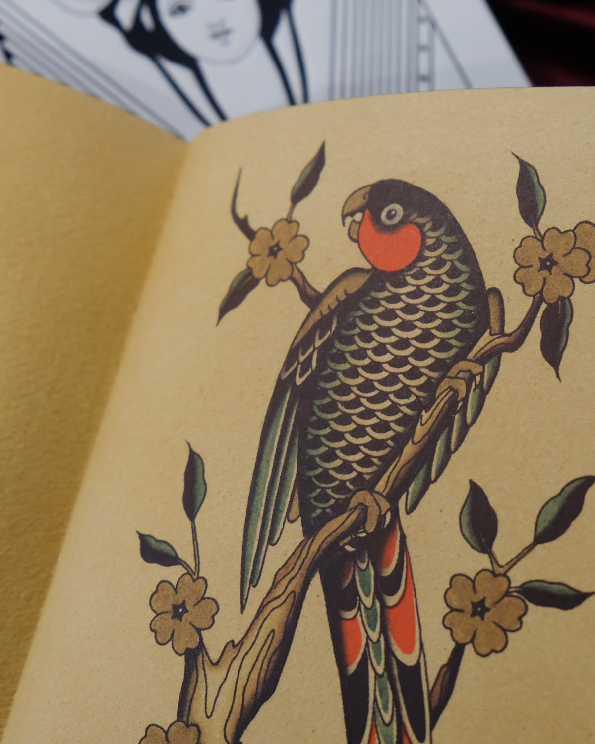 hardback book